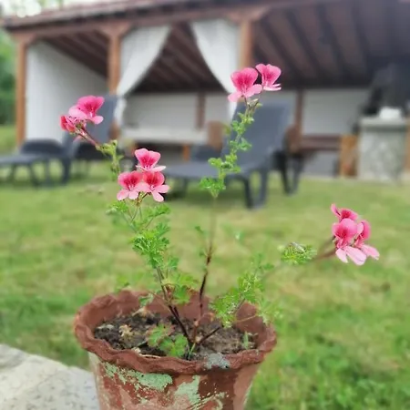 Къщи За Гости Залеза И Зората *
